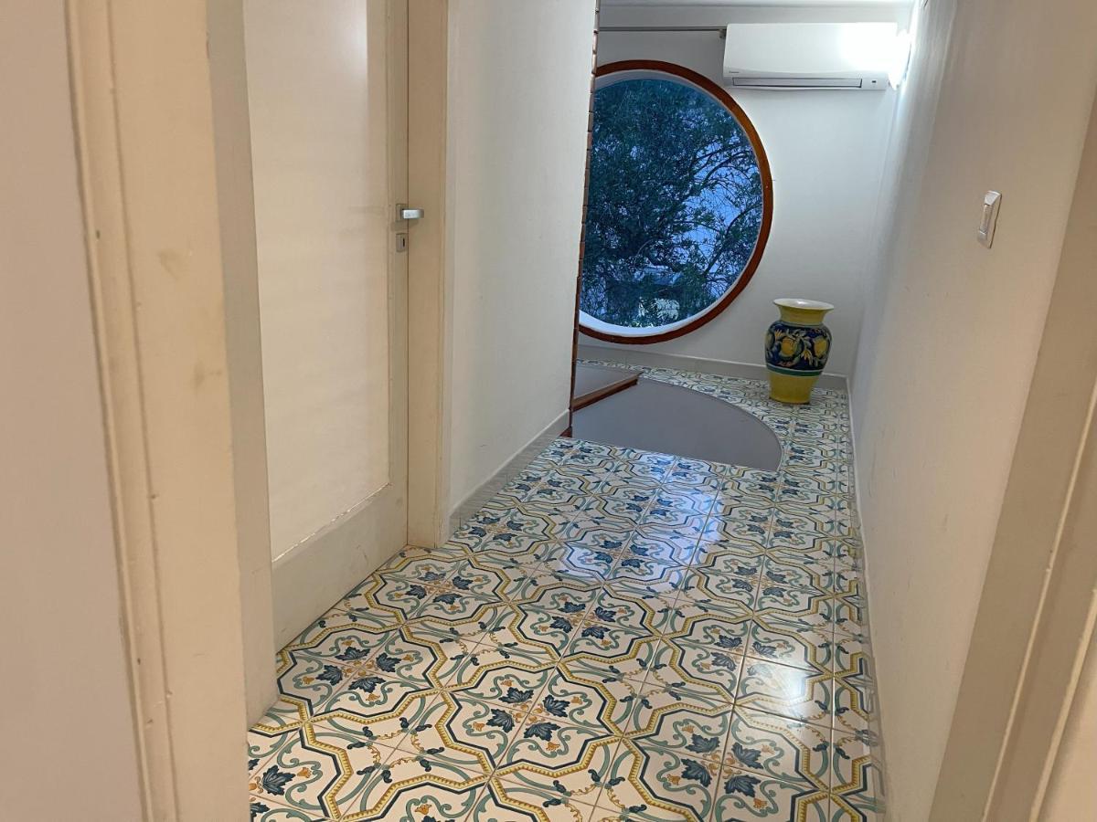 Avvocato Catapano
